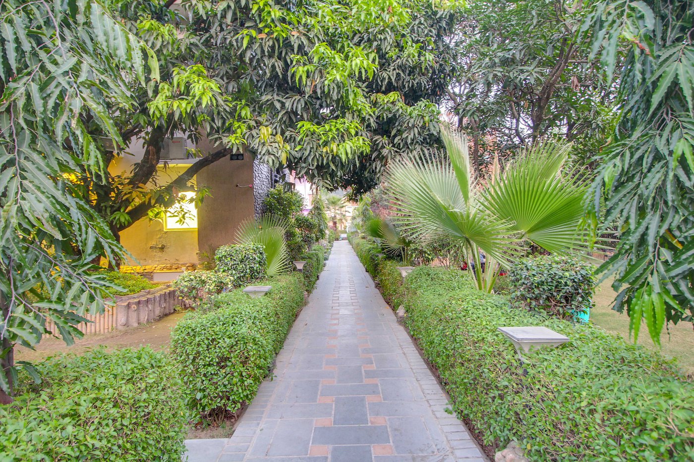 Pathway
